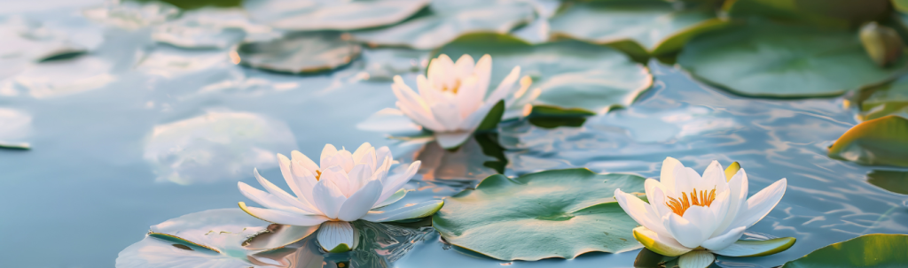 Headers (15)